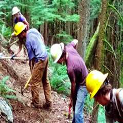 The Impact of Volunteer Programs in Southeastern Washington