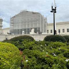 Court grants criminal case on right to appeal