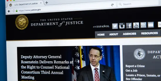 DOJ Launches New Civil Enforcement Branch with Implications for Regulated Industries