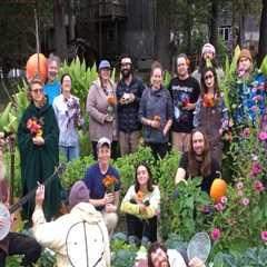 Exploring the Environmental and Sustainability Community in Northern Virginia
