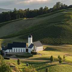 Uncovering the Hidden Gems of Central Virginia's Wine Country