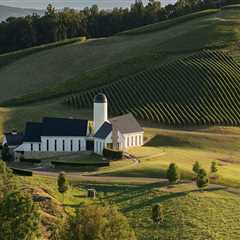 The Hidden Gem of Central Virginia: Exploring the Top Wine Companies