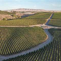 Ensuring Quality Control in the Wine Industry of Southwest Washington