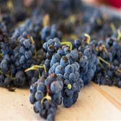 The Wine Industry in Southwest Washington: Exploring the Average Price Range