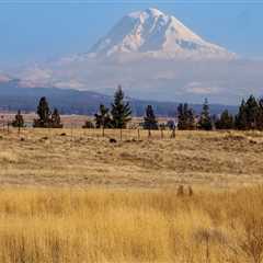 The Power of Community Involvement in Coalitions in Southwest Washington