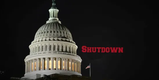 The U.S. Government Shutdown: Its Impact on Immigration Cases