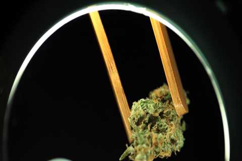 The Ultimate Guide to Opening a Dispensary in Southwest Washington