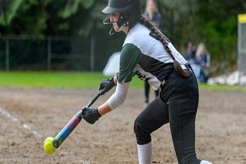 The Rise of Softball in Hampden County, Massachusetts