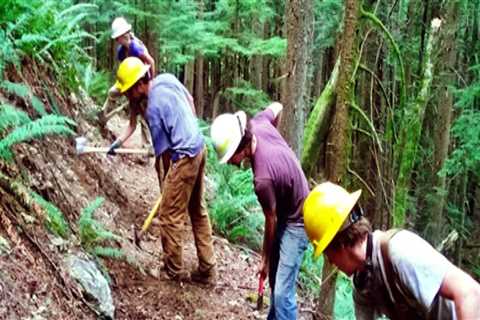 The Impact and Rewards of Volunteering in Southeastern Washington