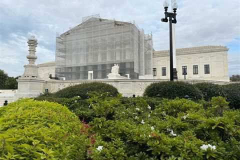 Court grants criminal case on right to appeal
