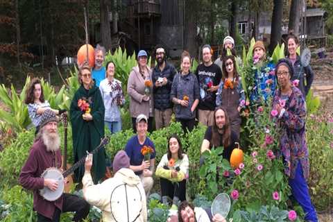 Exploring the Environmental and Sustainability Community in Northern Virginia