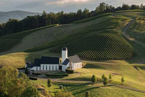 Uncovering the Hidden Gems of Central Virginia's Wine Country