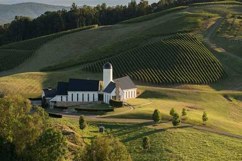 The Hidden Gem of Central Virginia: Exploring the Top Wine Companies