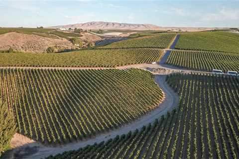 Ensuring Quality Control in the Wine Industry of Southwest Washington