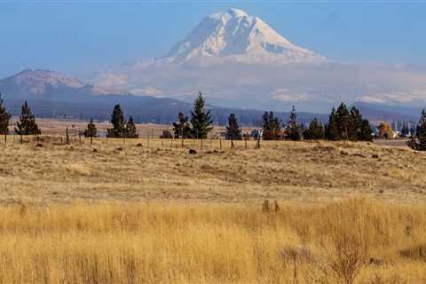The Power of Community Involvement in Coalitions in Southwest Washington