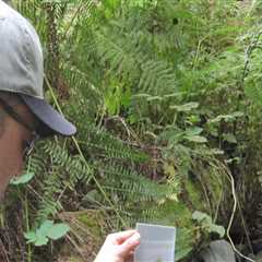 The Impact of Local Environmental Groups in Multnomah County