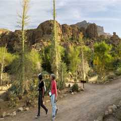 The Benefits of Continuing Education for Seniors in Pinal County