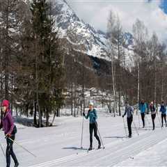 How Weather, Terrain, and Timing Affect Cross-State Moving Routes