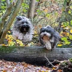 Friday Footnotes: Are Mean Clients Tanking Audit Quality?; Well F College Grads Wanting to Get Into ..