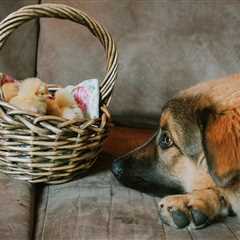 Monday Morning Accounting News Brief: Frying Chicken > Accounting; Deloitte’s Former Consulting..