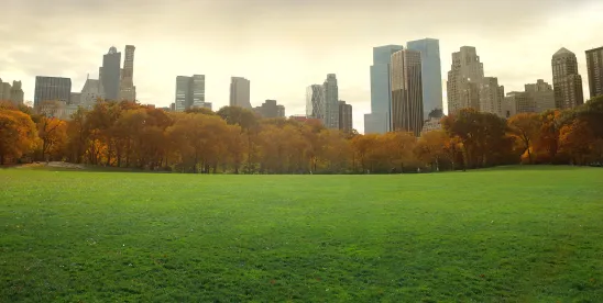 NYS Executive and Attorney General Come Together to Expedite and Streamline Land Acquisition