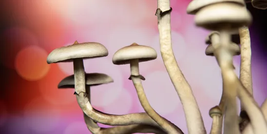 Actualizing Therapy from Psychedelic Compounds Requires Acknowledging the Past Pioneers as well as..