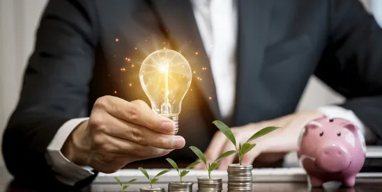 Renewed AFIDA Enforcement - Key Considerations for Energy and Infrastructure Projects