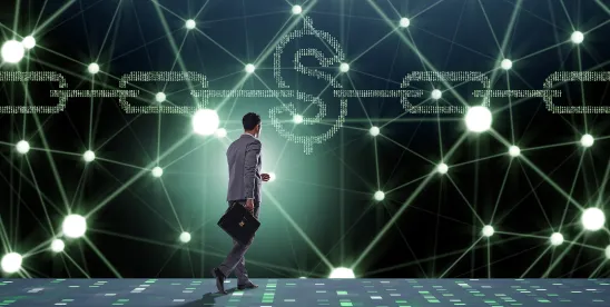 Digital Asset Treasury Companies - Structure and Regulation