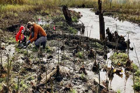 Preserving Washington County's Natural Beauty: A Look at Community Environmental Projects