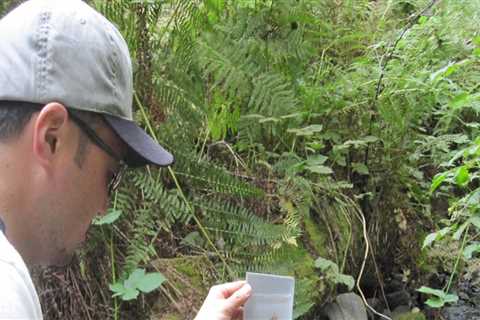 The Impact of Local Environmental Groups in Multnomah County