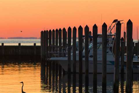 The Power of Coalitions: Influencing Decision-Making in Calvert County, Maryland