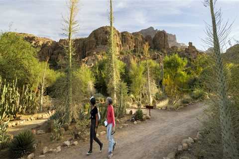 The Benefits of Continuing Education for Seniors in Pinal County