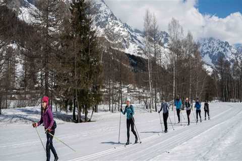 How Weather, Terrain, and Timing Affect Cross-State Moving Routes