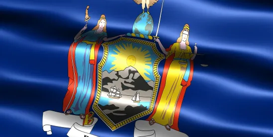 No Bailout for Bureaucratic Inertia- NYDEC Ordered to Implement Albany’s Climate Commitments