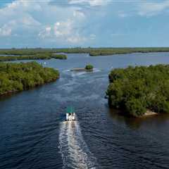 The Power of Traditional Ecological Knowledge in Preserving Southwest Florida's Habitats