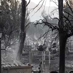 How to Request a Fire Report in Portland, Oregon: A Comprehensive Guide