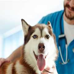 Understanding the Average Cost of Pet Care Services in Western Washington