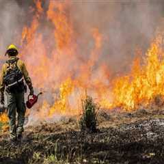 Understanding the Firefighter Landscape in Portland, Oregon: A Comprehensive Overview
