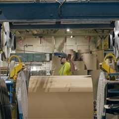 Comprehensive Guide to Recycling Programs in Lansing, Michigan: Accepted Materials and More