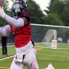 Exploring Springfield, Illinois: Notable Athletes and Their Sports Organizations