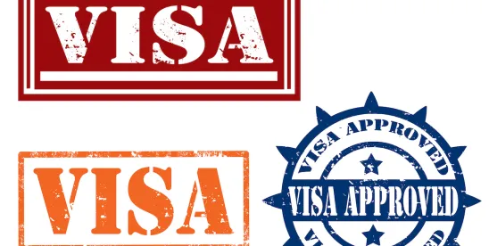 H-1B Alternatives- Making Sense of the $100,000 Fee, the Gold Card, and Pathways from H-1B to Green ..