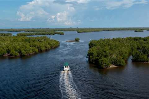 The Power of Traditional Ecological Knowledge in Preserving Southwest Florida's Habitats