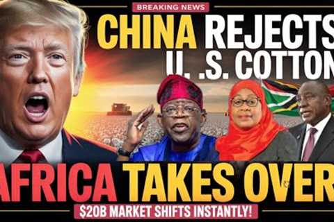 “China Rejects American Cotton — Africa Takes Over the Billion-Dollar Market Overnight!”