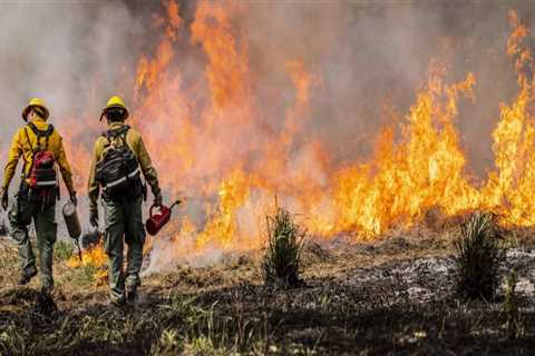 Understanding the Firefighter Landscape in Portland, Oregon: A Comprehensive Overview