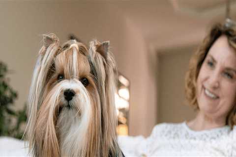 Exploring Grooming Services Offered by Pet Care Organizations in Western Washington