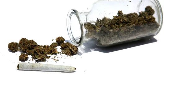 President Trump Signs Executive Order Directing AG to Expedite Marijuana Rescheduling Process