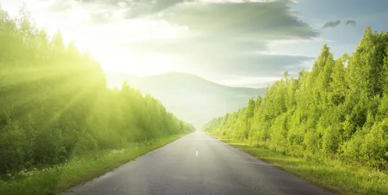 Public by History- Formal Records Aren’t Always Required