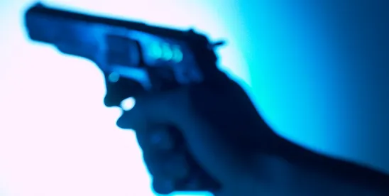 Sixth Circuit Weighs Second Amendment Rights of Illegal Immigrants