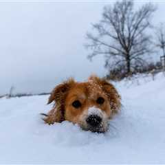 This Snow Storm is Definitely Going to Screw Things Up For CPA Candidates