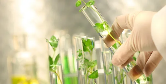 NSCEB Paper Outlines Policy Options to Modernize Oversight of Biotechnology Products